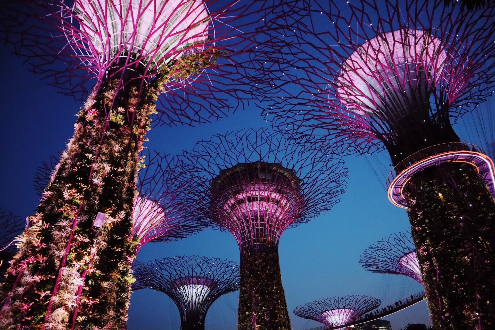 Low-angle Photography of Gardens by the Bay